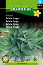 Salvie, Lege- 'Allerlei' (Salvia officinalis) thumbnail