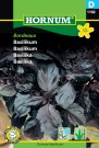 Basilikum 'Bordeaux' (Ocimum basilicum) thumbnail