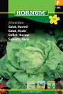 Salat, Hode- 'Attractie' (Lactuca sativa capitata) thumbnail