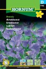 Erteblomst 'Beauty' (Lathyrus odoratus) thumbnail
