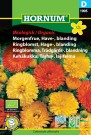 Ringblomst, Hage-, blanding '' (Calendula officinalis) thumbnail
