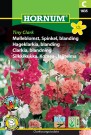 Hageklarkia, blanding 'Tiny Clark' (Clarkia unguiculata) thumbnail
