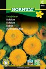 Solsikke 'Teddybear' (Helianthus annuus) thumbnail
