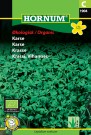 Karse (Lepidium sativum) thumbnail