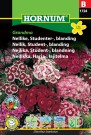 Nellik, Student-, blanding 'Grandma' (Dianthus barbatus) thumbnail