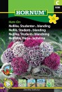 Nellik, Student-, blanding 'Hats On' (Dianthus barbatus) thumbnail