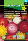 Evighetsblomst, Kjempe-, blanding 'Koloss' (Helichrysum bracteatum) thumbnail