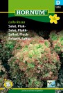 Salat, Plukk- 'Lollo Rossa' (Lactuca sativa acephala) thumbnail