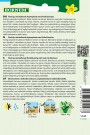 Spansk kjørvel (Myrrhis odorata) thumbnail