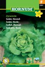 Salat, Hode- 'Dynamite' (Lactuca sativa capitata) thumbnail