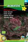 Salat, Hode- 'Merveille des quatre saisons' (Lactuca sativa capitata) thumbnail