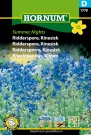 Ridderspore, Kinesisk 'Summer Nights' (Delphinium grandiflorum) thumbnail