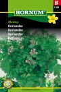 Koriander 'Marino' (Coriandrum sativum) thumbnail