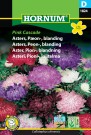 Asters, Peon-, blanding 'Pink Cascade' (Callistephus chinensis) thumbnail