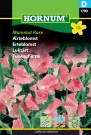 Erteblomst 'Mammut Rose' (Lathyrus odoratus) thumbnail