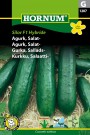 Agurk, Salat- 'Silor F1 Hybride' (Cucumis sativus) thumbnail