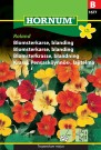 Blomsterkarse, blanding 'Roland' (Tropaeolum majus) thumbnail