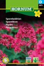 Sporeblom (Centranthus ruber) thumbnail