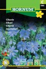 Sikori  (Cichorium intybus) thumbnail