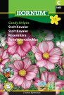 Stolt Kavaler 'Candy Stripes' (Cosmos bipinnatus) thumbnail