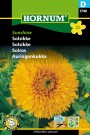 Solsikke 'Sunshine' (Helianthus annuus) thumbnail