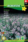 Timian 'Di Roma' (Thymus vulgaris) thumbnail