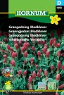 Grønngjødsel Blodkløver '' (Trifolium incarnatum) thumbnail