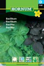 Basilikum (Ocimum basilicum) thumbnail