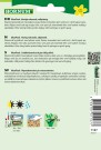 Karse (MaxiPack) 'Einfache grüne' (Lepidium sativum) thumbnail