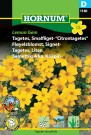 Fløyelsblomst, Signet- 'Lemon Gem' (Tagetes tenuifolia) thumbnail