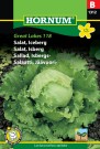 Salat, Isberg 'Great Lakes 118' (Lactuca sativa capitata) thumbnail