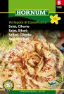 Salat, Sikori- 'Variegata di Castelfranco' (Cichorium intybus L. var. fol.) thumbnail