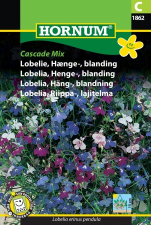 Lobelia, Henge-, blanding 'Cascade Mix' (Lobelia erinus pendula)