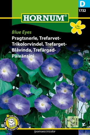 Trikolorvindel, Trefarget- 'Blue Eyes' (Ipomoea tricolor)