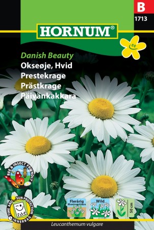 Prestekrage 'Danish Beauty' (Leucanthemum vulgare)