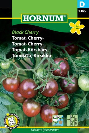 Tomat, Cherry- 'Chocolate Cherry' (Lycopersicon esculentum L.)