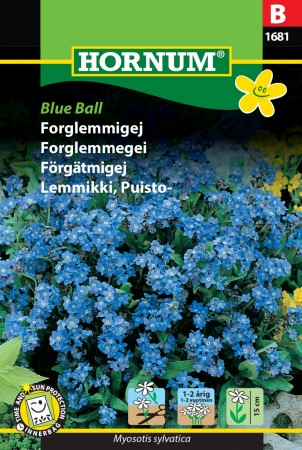 Forglemmegei 'Blue Ball' (Myosotis sylvatica)