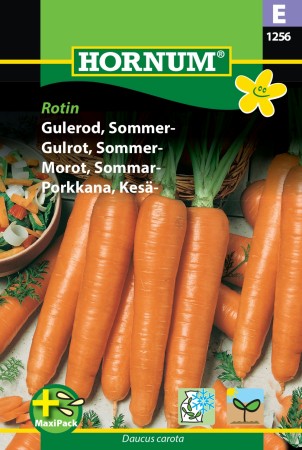 Gulrot, Sommer- (MaxiPack) 'Rotin' (Daucus carota)
