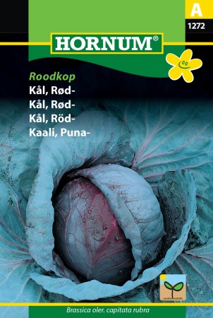 Kål, Rød- 'Roodkop' (Brassica oler. capitata rubra)
