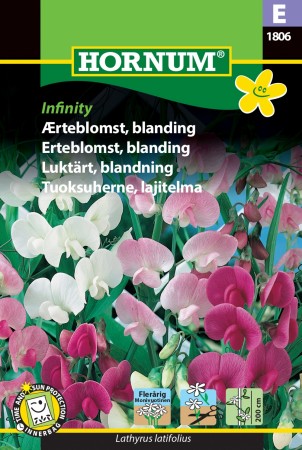 Erteblomst, blanding 'Infinity' (Lathyrus latifolius)