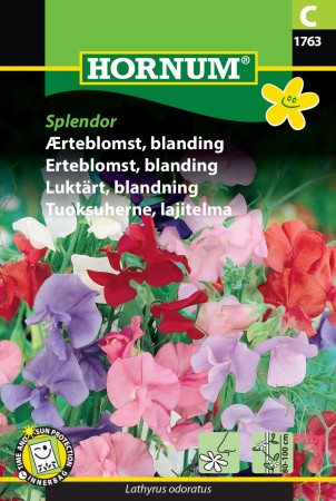 Erteblomst, blanding 'Splendor' (Lathyrus odoratus)