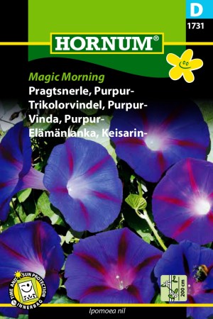 Trikolorvindel, Purpur- 'Magic Morning' (Ipomoea nil)