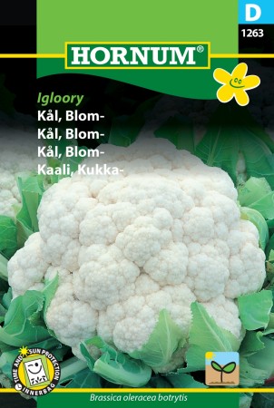 Kål, Blom- 'Igloory' (Brassica oleracea botrytis)