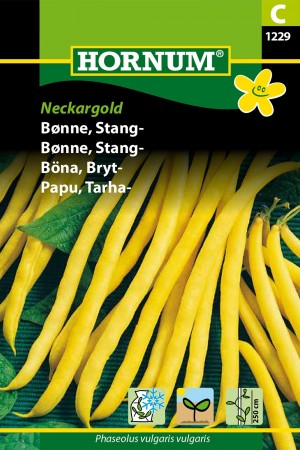 Bønne, Stang- 'Neckargold' (Phaseolus vulgaris vulgaris)