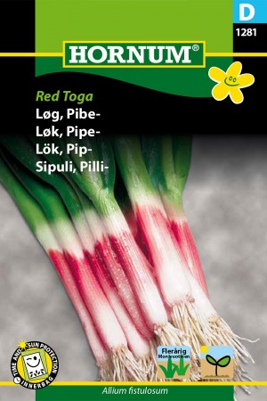 Løk, Pipe- 'Red Toga' (Allium fistulosum)