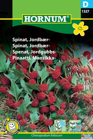 Spinat, Jordbær- '' (Chenopodium foliosum)