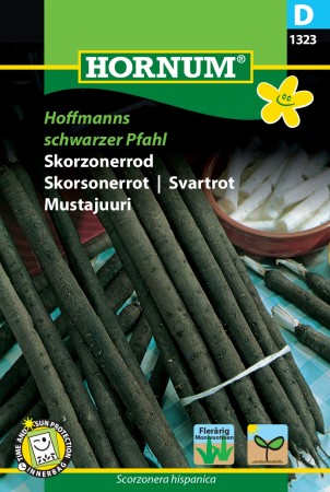 Skorsonerrot 'Hoffmanns schwarzer Pfahl' (Scorzonera hispanica)