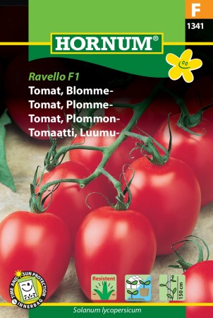 Tomat, Plomme- 'Ravello F1' (Lycopersicon esculentum L.)