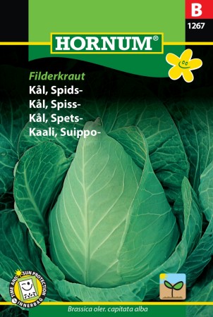 Kål, Spiss- 'Filderkraut' (Brassica oler. capitata alba)