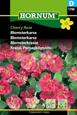 Blomsterkarse 'Cherry Rose' (Tropaeolum majus)